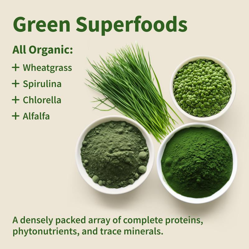 Gut Health Bundle - Snap Supplements - Gut Health + Spirulina & Chlorella - Natural Supplement Bundle