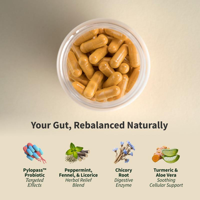 Gut Health Bundle - Snap Supplements - Gut Health + Spirulina & Chlorella - Natural Supplement Bundle